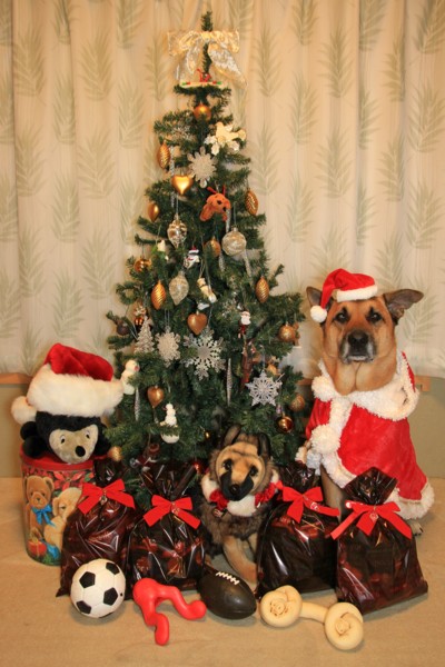 f:id:mamimami_LA:20111209005217j:image