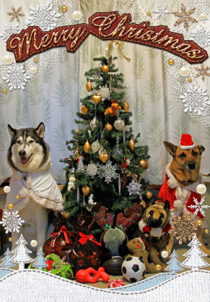 f:id:mamimami_LA:20111209144155j:image