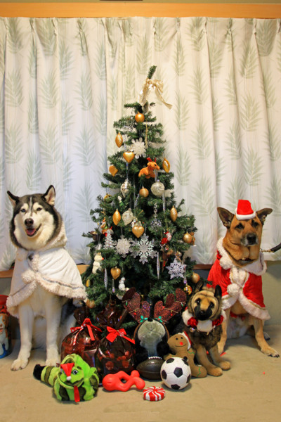 f:id:mamimami_LA:20111209144213j:image