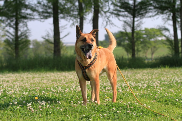 f:id:mamimami_LA:20120527073039j:image f:id:mamimami_LA:20120527073039j:image