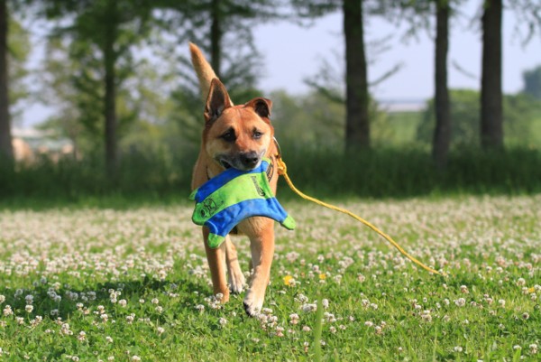 f:id:mamimami_LA:20120527073244j:image f:id:mamimami_LA:20120527073244j:image