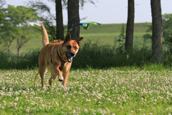 f:id:mamimami_LA:20120527073453j:image f:id:mamimami_LA:20120527073453j:image