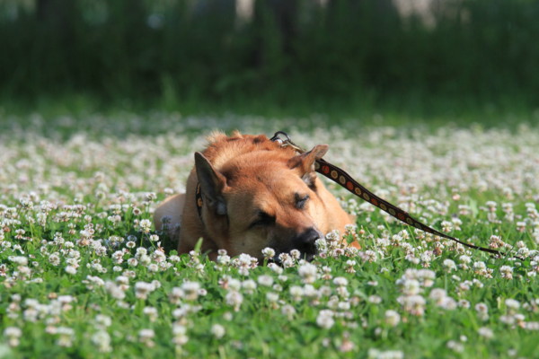 f:id:mamimami_LA:20120527074002j:image f:id:mamimami_LA:20120527074002j:image