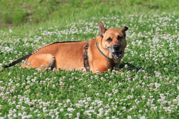 f:id:mamimami_LA:20120527074532j:image f:id:mamimami_LA:20120527074532j:image