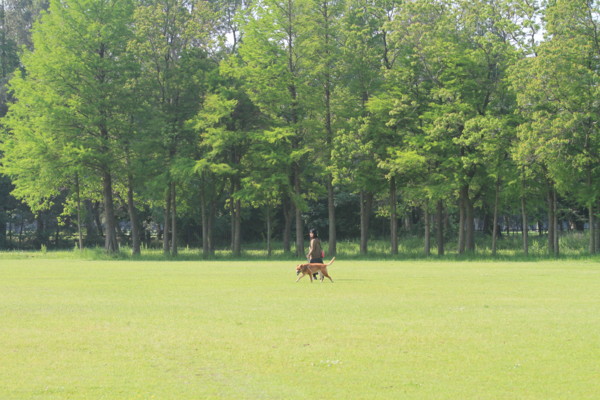 f:id:mamimami_LA:20120527075739j:image f:id:mamimami_LA:20120527075739j:image