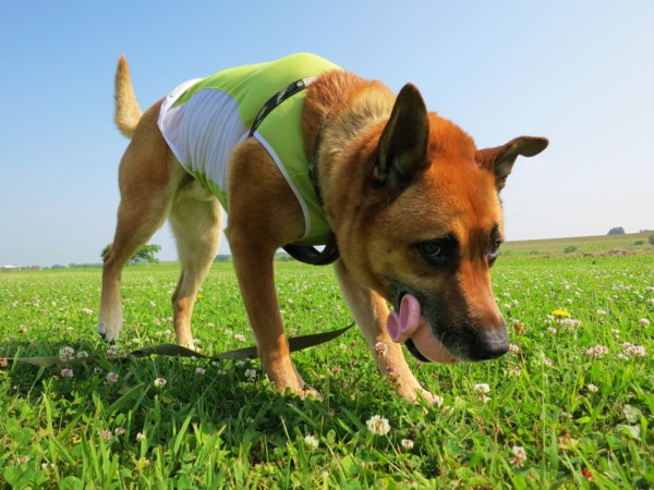 f:id:mamimami_LA:20120529083040j:image f:id:mamimami_LA:20120529083040j:image