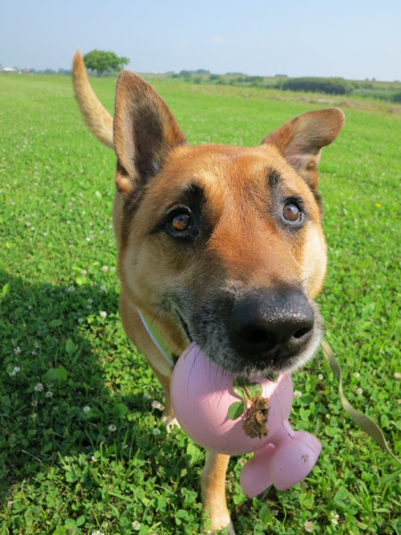 f:id:mamimami_LA:20120529083106j:image f:id:mamimami_LA:20120529083106j:image