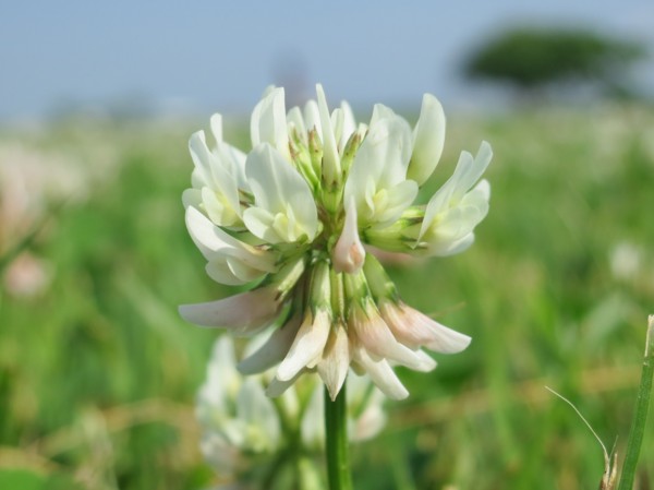 f:id:mamimami_LA:20120529083830j:image f:id:mamimami_LA:20120529083830j:image