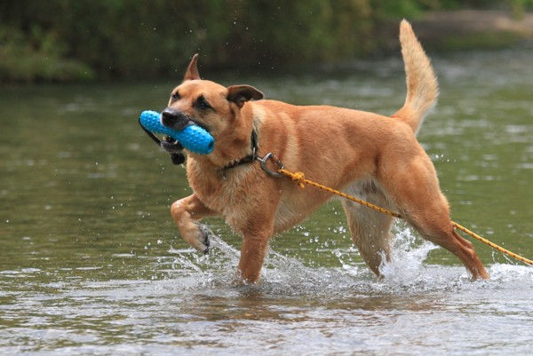 f:id:mamimami_LA:20120630124424j:image f:id:mamimami_LA:20120630124424j:image