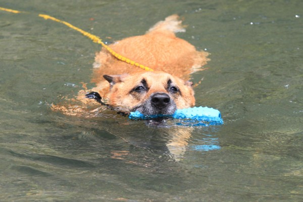 f:id:mamimami_LA:20120630125003j:image f:id:mamimami_LA:20120630125003j:image