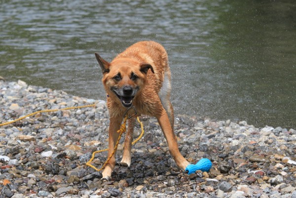 f:id:mamimami_LA:20120630125214j:image f:id:mamimami_LA:20120630125214j:image