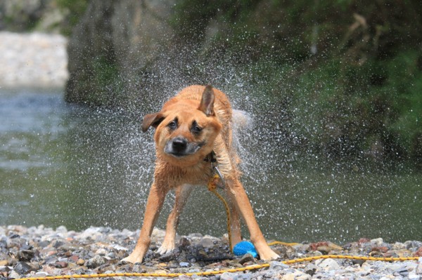 f:id:mamimami_LA:20120630125304j:image f:id:mamimami_LA:20120630125304j:image