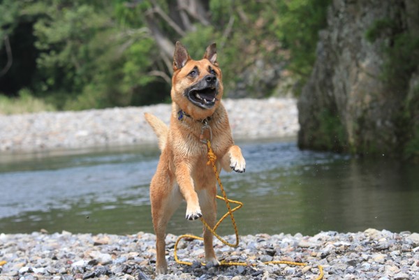 f:id:mamimami_LA:20120630125517j:image f:id:mamimami_LA:20120630125517j:image