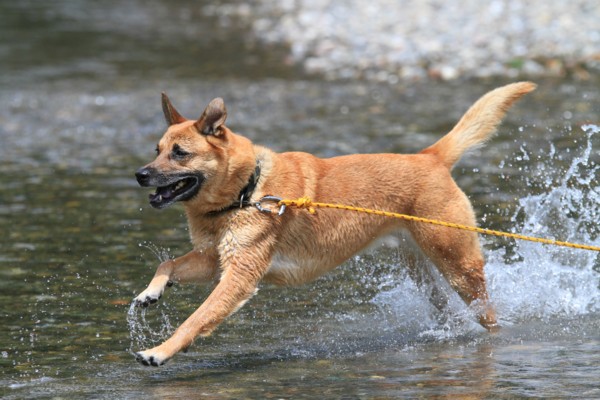 f:id:mamimami_LA:20120630131521j:image f:id:mamimami_LA:20120630131521j:image