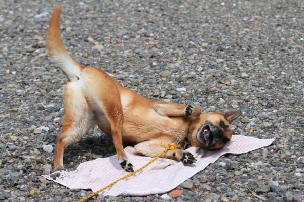 f:id:mamimami_LA:20120630131711j:image f:id:mamimami_LA:20120630131711j:image