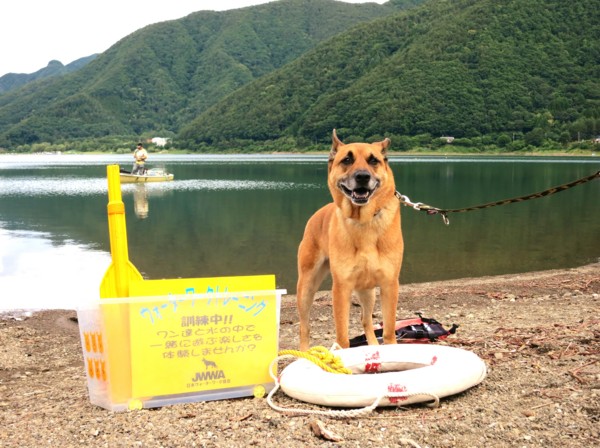 f:id:mamimami_LA:20120708082849j:image f:id:mamimami_LA:20120708082849j:image