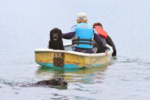 f:id:mamimami_LA:20120708090254j:image f:id:mamimami_LA:20120708090254j:image