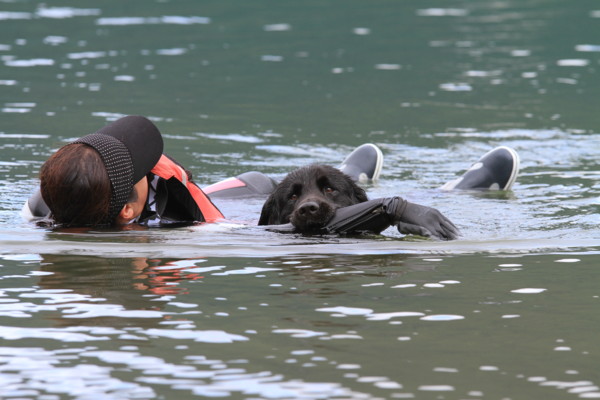 f:id:mamimami_LA:20120708091327j:image f:id:mamimami_LA:20120708091327j:image