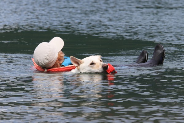 f:id:mamimami_LA:20120708093212j:image f:id:mamimami_LA:20120708093212j:image