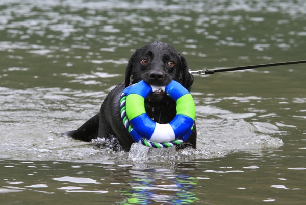 f:id:mamimami_LA:20120708093419j:image f:id:mamimami_LA:20120708093419j:image