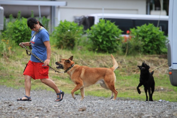 f:id:mamimami_LA:20120708103533j:image f:id:mamimami_LA:20120708103533j:image