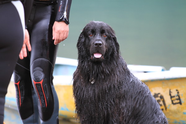 f:id:mamimami_LA:20120708104230j:image f:id:mamimami_LA:20120708104230j:image