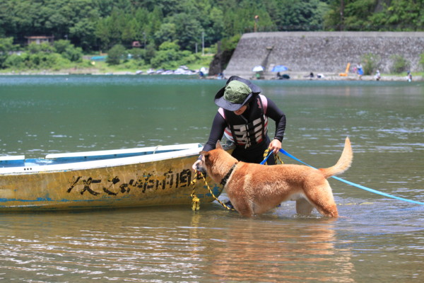 f:id:mamimami_LA:20120708113351j:image f:id:mamimami_LA:20120708113351j:image