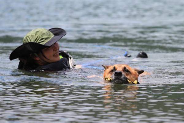 f:id:mamimami_LA:20120708114112j:image f:id:mamimami_LA:20120708114112j:image