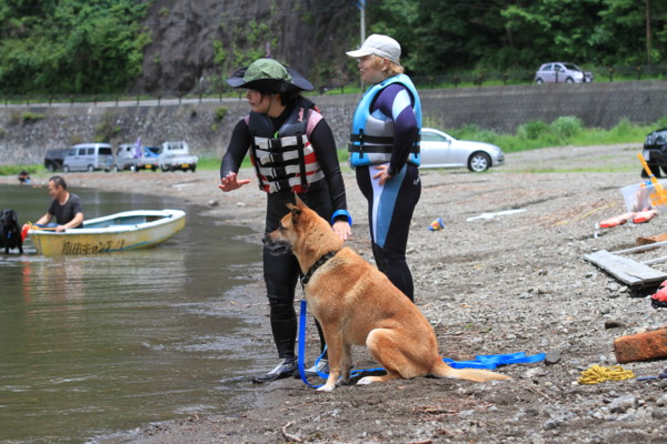 f:id:mamimami_LA:20120708115042j:image f:id:mamimami_LA:20120708115042j:image