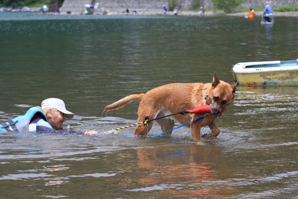 f:id:mamimami_LA:20120708120835j:image f:id:mamimami_LA:20120708120835j:image