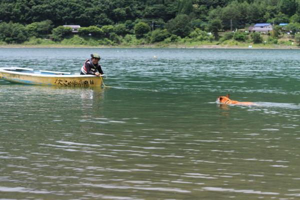 f:id:mamimami_LA:20120708121023j:image f:id:mamimami_LA:20120708121023j:image