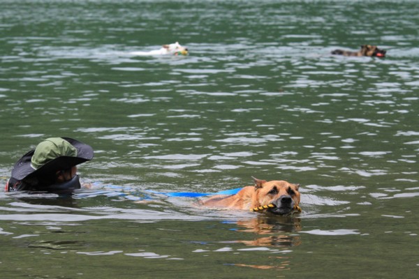 f:id:mamimami_LA:20120708122251j:image f:id:mamimami_LA:20120708122251j:image