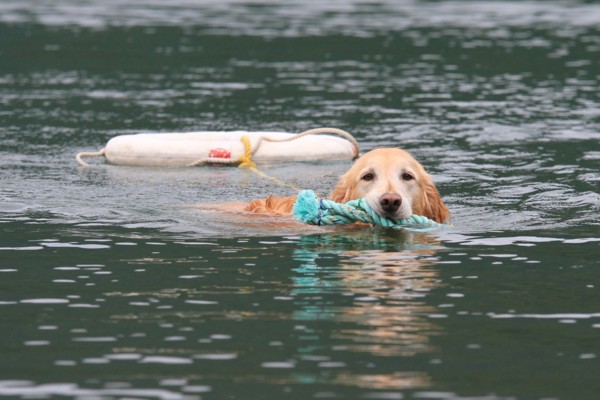 f:id:mamimami_LA:20120708124422j:image f:id:mamimami_LA:20120708124422j:image