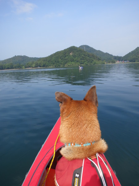 f:id:mamimami_LA:20120729083709j:image