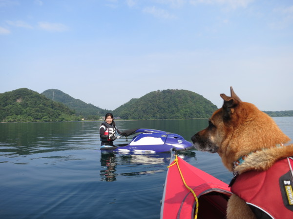 f:id:mamimami_LA:20120729084036j:image