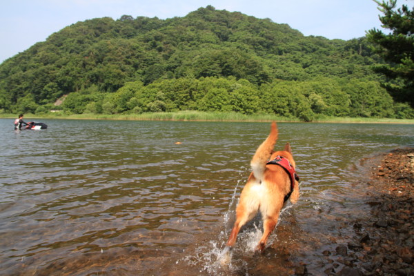 f:id:mamimami_LA:20120729091343j:image