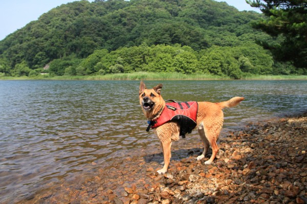 f:id:mamimami_LA:20120729091917j:image