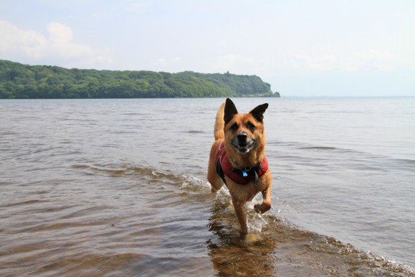 f:id:mamimami_LA:20120729092102j:image