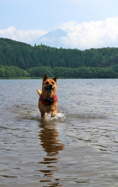 f:id:mamimami_LA:20120729092436j:image