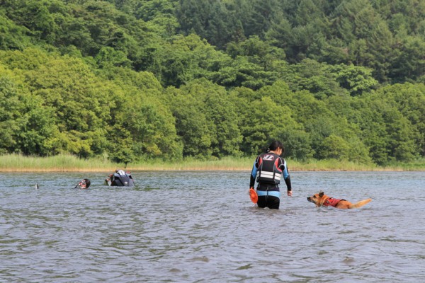 f:id:mamimami_LA:20120729092538j:image