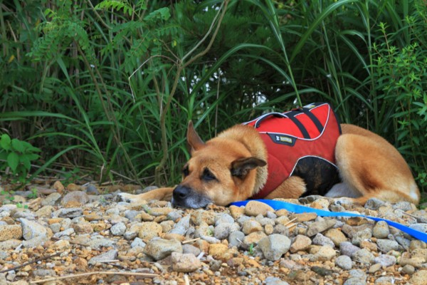 f:id:mamimami_LA:20120729101525j:image