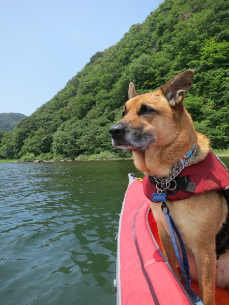 f:id:mamimami_LA:20120729111424j:image