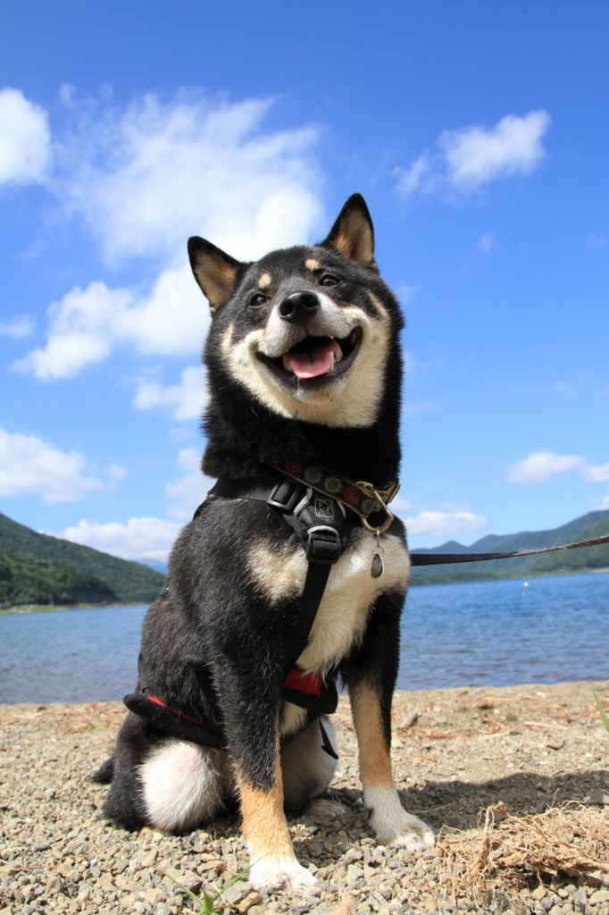 f:id:mamimami_LA:20120804095609j:image f:id:mamimami_LA:20120804095609j:image