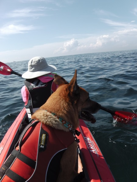 f:id:mamimami_LA:20120908093245j:image f:id:mamimami_LA:20120908093245j:image