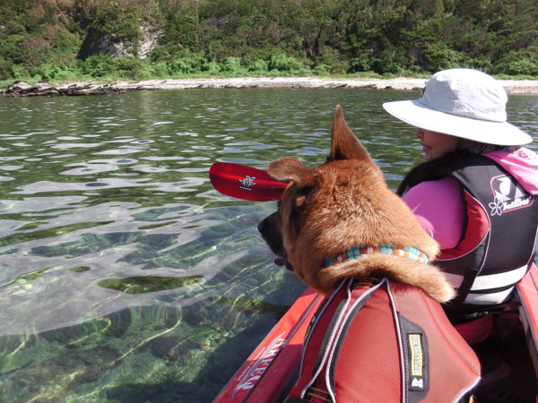 f:id:mamimami_LA:20120908095343j:image f:id:mamimami_LA:20120908095343j:image