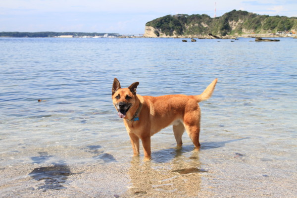 f:id:mamimami_LA:20120908100712j:image f:id:mamimami_LA:20120908100712j:image