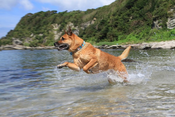 f:id:mamimami_LA:20120908101105j:image f:id:mamimami_LA:20120908101105j:image