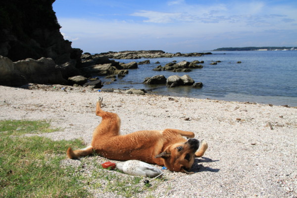 f:id:mamimami_LA:20120908101828j:image f:id:mamimami_LA:20120908101828j:image