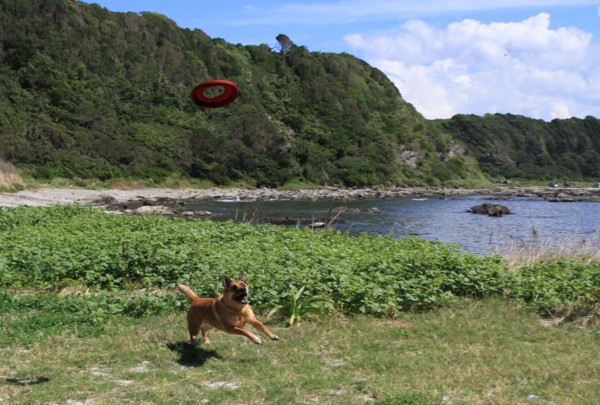 f:id:mamimami_LA:20120908102608j:image f:id:mamimami_LA:20120908102608j:image