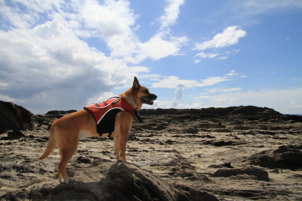 f:id:mamimami_LA:20120908110929j:image f:id:mamimami_LA:20120908110929j:image